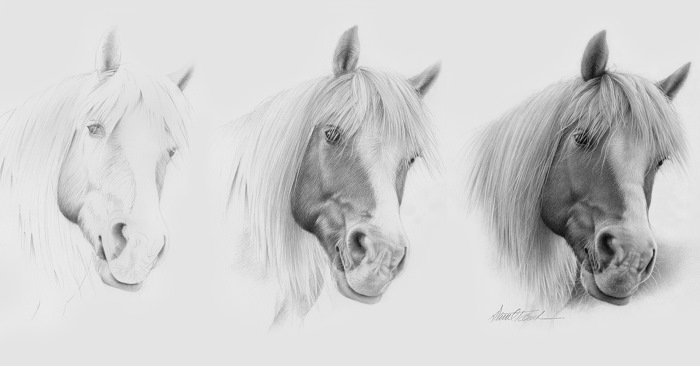 Рисунок головы лошади
