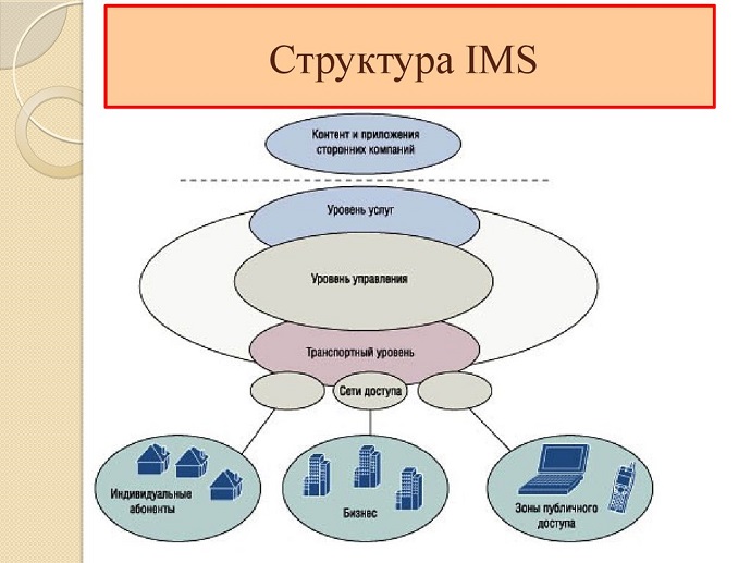 Структура IMS