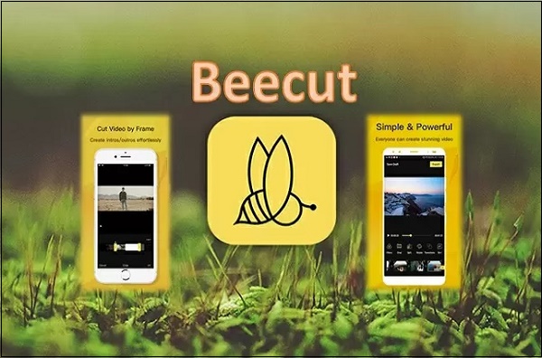 Приложение BeeCut
