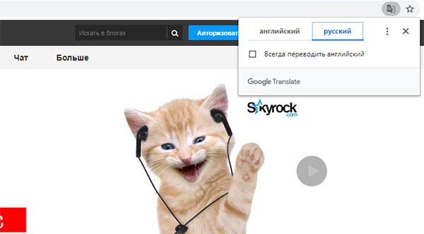 Сайт Skyrock.com