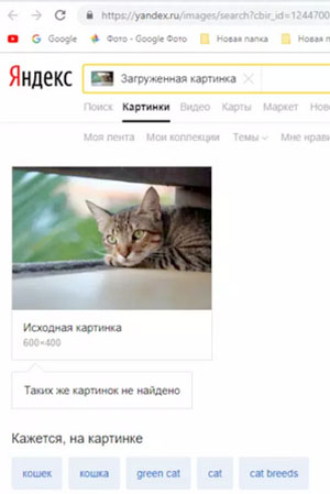 Поиск по фото в Яндекс