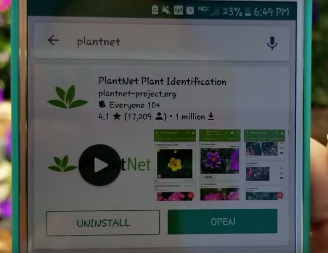Запуск PlantNet