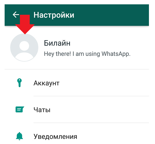Картинки для профиля whatsapp