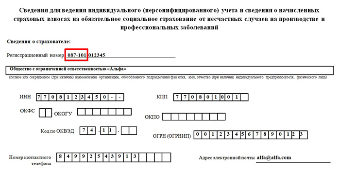 Пример регистрационного номера