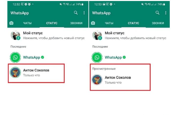 Раздел со статусами других пользователей в WhatsApp
